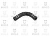 FIAT 55181261 Radiator Hose